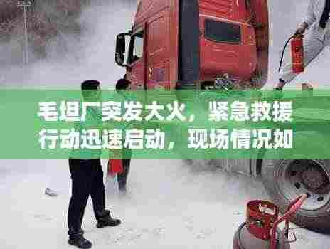 毛坦厂突发大火,紧急救援行动迅速启动,现场情况如何?