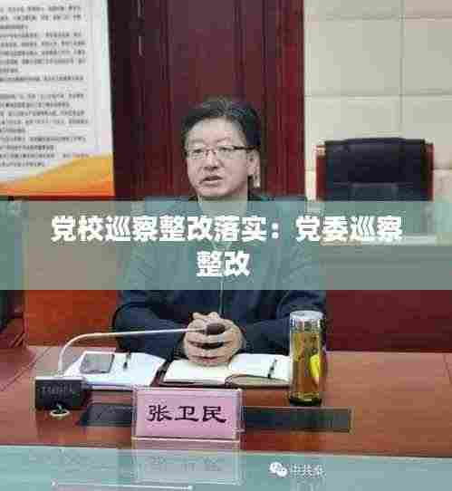 党校巡察整改落实：党委巡察整改 