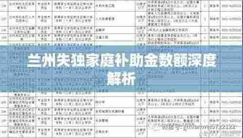 兰州失独家庭补助金数额深度解析