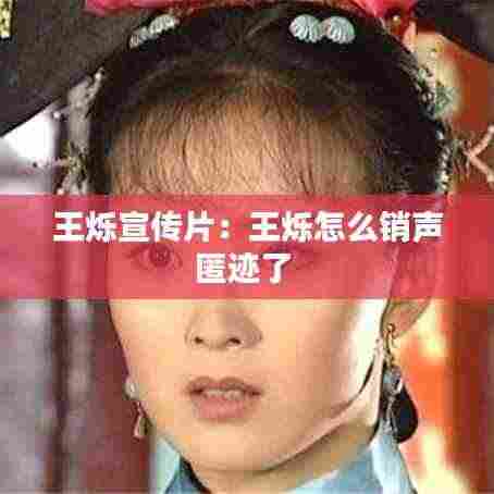 王烁宣传片：王烁怎么销声匿迹了 