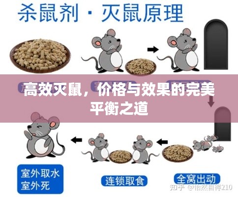 高效灭鼠,价格与效果的完美平衡之道