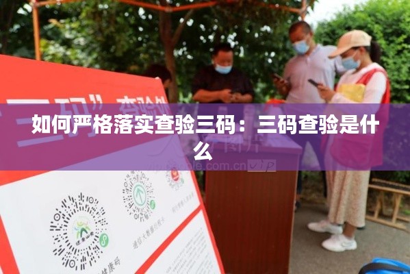 如何严格落实查验三码:三码查验是什么