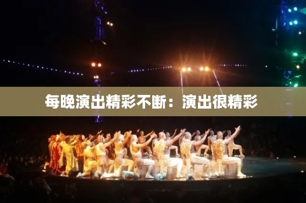 每晚演出精彩不断:演出很精彩