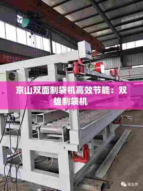 京山双面制袋机高效节能:双雄制袋机