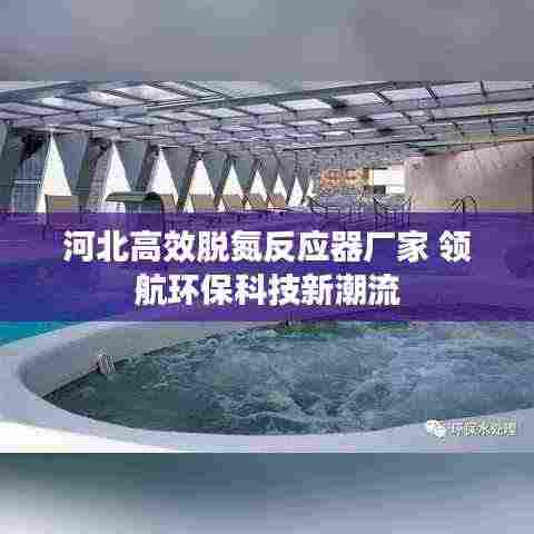 河北高效脱氮反应器厂家 领航环保科技新潮流