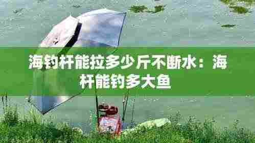海钓杆能拉多少斤不断水:海杆能钓多大鱼