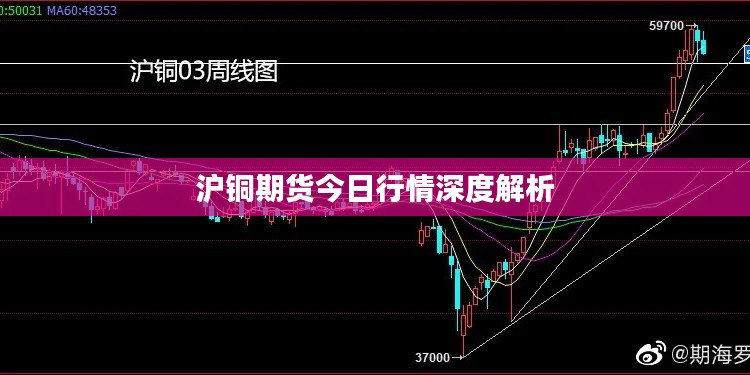 沪铜期货今日行情深度解析