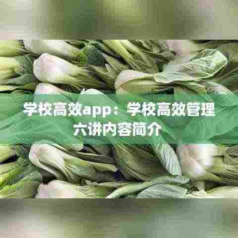 学校高效app：学校高效管理六讲内容简介 