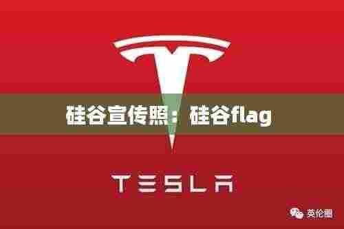 硅谷宣传照:硅谷flag