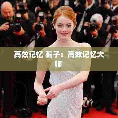 高效记忆 骗子:高效记忆大师