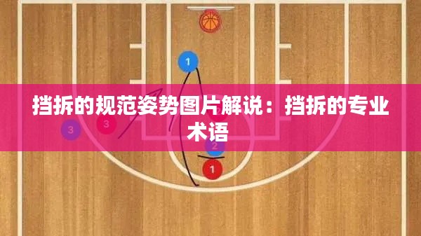 挡拆的规范姿势图片解说:挡拆的专业术语