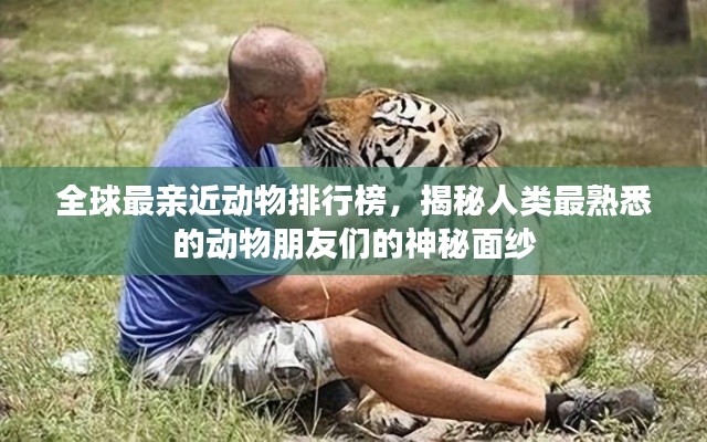全球最亲近动物排行榜，揭秘人类最熟悉的动物朋友们的神秘面纱
