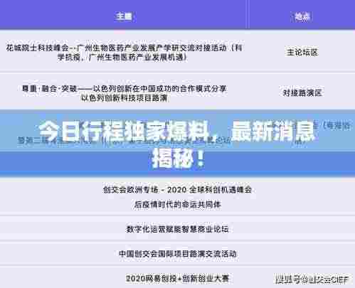 今日行程独家爆料,最新消息揭秘!