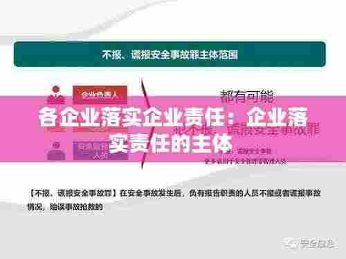 各企业落实企业责任：企业落实责任的主体 