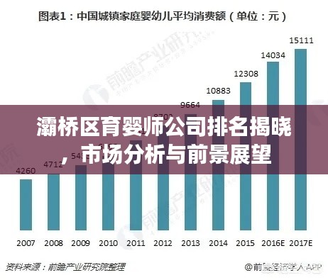 灞桥区育婴师公司排名揭晓,市场分析与前景展望