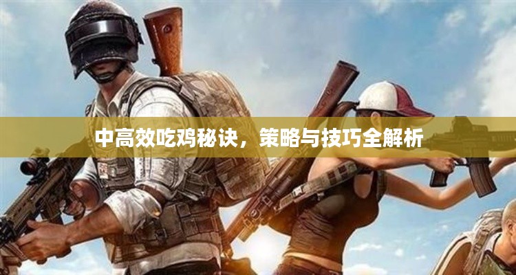 中高效吃鸡秘诀,策略与技巧全解析