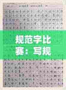 规范字比赛:写规范字比赛活动