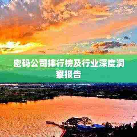 密码公司排行榜及行业深度洞察报告
