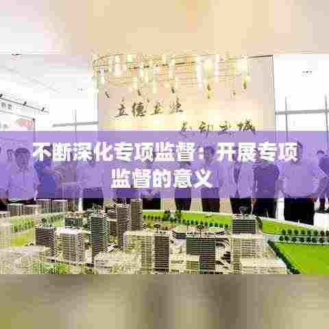 不断深化专项监督：开展专项监督的意义 