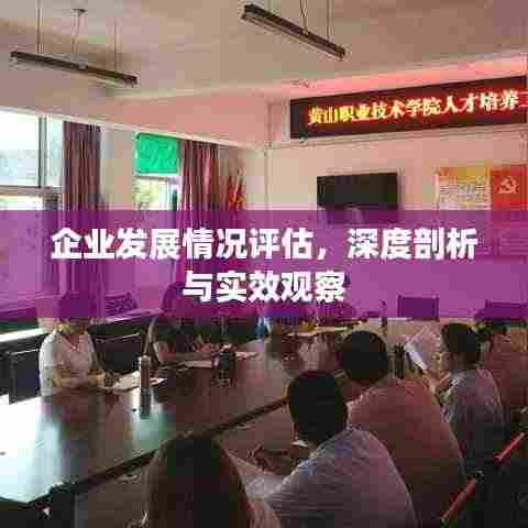 企业发展情况评估，深度剖析与实效观察