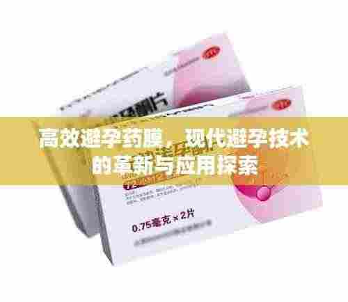 张皇铺饰 第5页