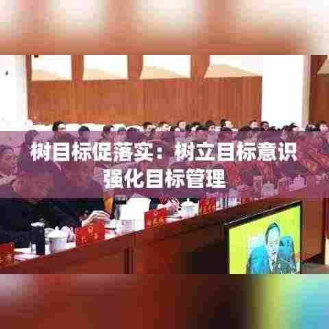 树目标促落实:树立目标意识 强化目标管理