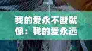 我的爱永不断就像:我的爱永远不会绝迹