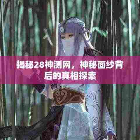 揭秘28神测网，神秘面纱背后的真相探索