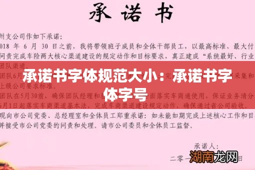 承诺书字体规范大小：承诺书字体字号 