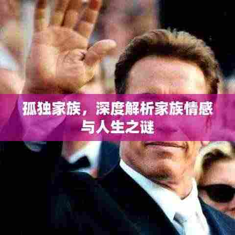 孤独家族，深度解析家族情感与人生之谜