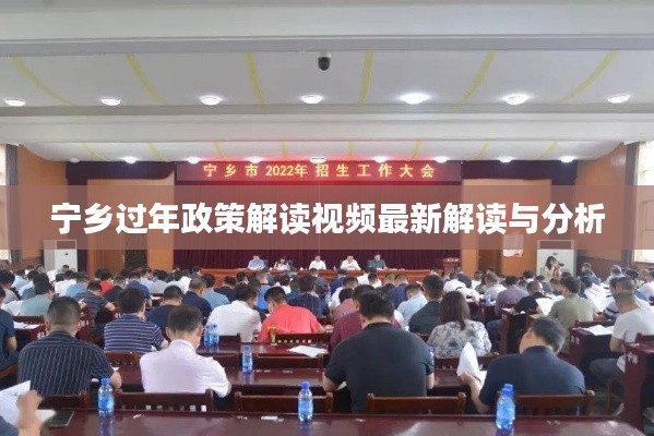 宁乡过年政策解读视频最新解读与分析