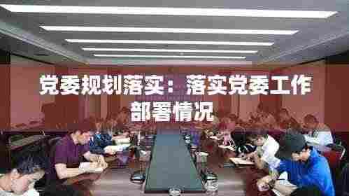 党委规划落实:落实党委工作部署情况