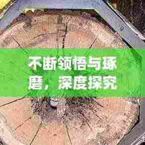 不断领悟与琢磨，深度探究的奥秘之旅