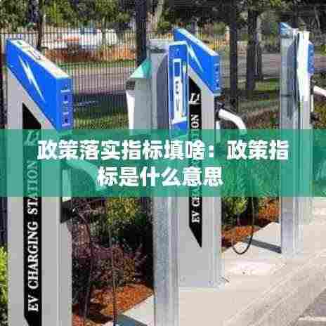 政策落实指标填啥:政策指标是什么意思