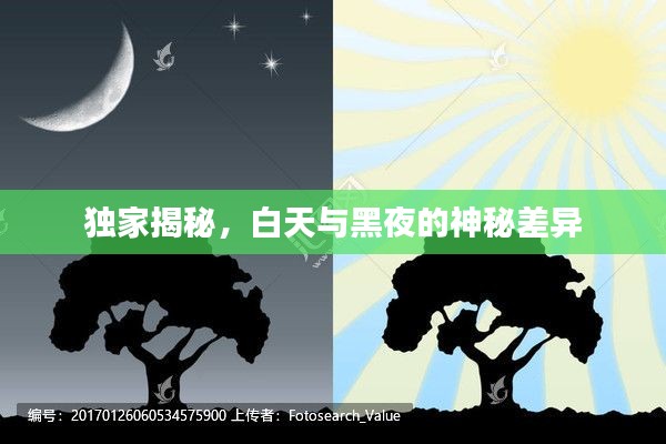 独家揭秘,白天与黑夜的神秘差异