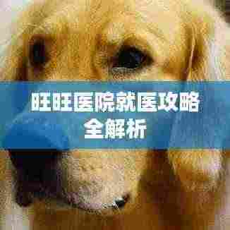 旺旺医院就医攻略全解析