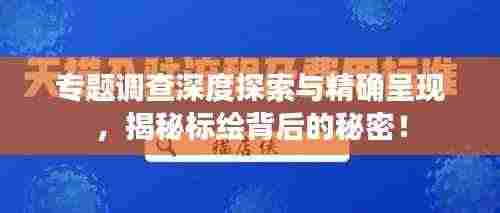 专题调查深度探索与精确呈现,揭秘标绘背后的秘密!