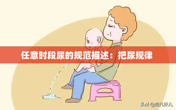 任意时段尿的规范描述:把尿规律