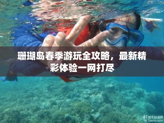 鸟哭猿啼 第3页