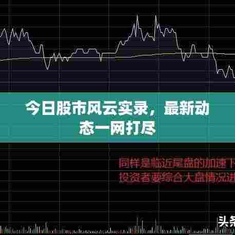 今日股市风云实录，最新动态一网打尽