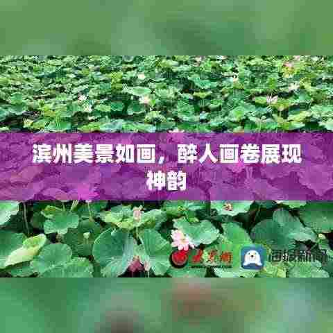 高抬贵手 第4页