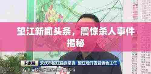 望江新闻头条，震惊杀人事件揭秘