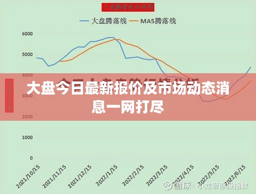 大盘今日最新报价及市场动态消息一网打尽