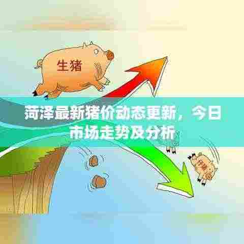 菏泽最新猪价动态更新,今日市场走势及分析