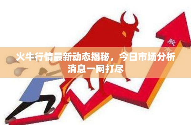 火牛行情最新动态揭秘,今日市场分析消息一网打尽