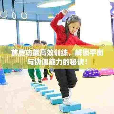 前庭功能高效训练,解锁平衡与协调能力的秘诀!