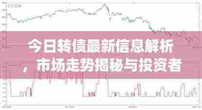 今日转债最新信息解析,市场走势揭秘与投资者应对策略建议