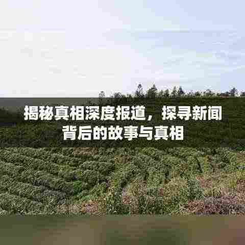 揭秘真相深度报道,探寻新闻背后的故事与真相