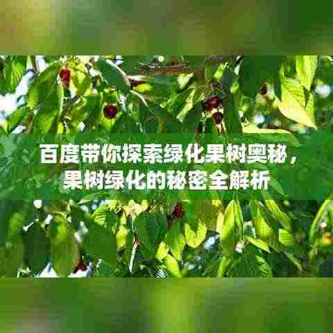 羽扇纶巾 第3页