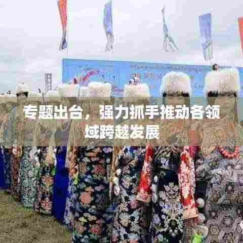 专题出台,强力抓手推动各领域跨越发展